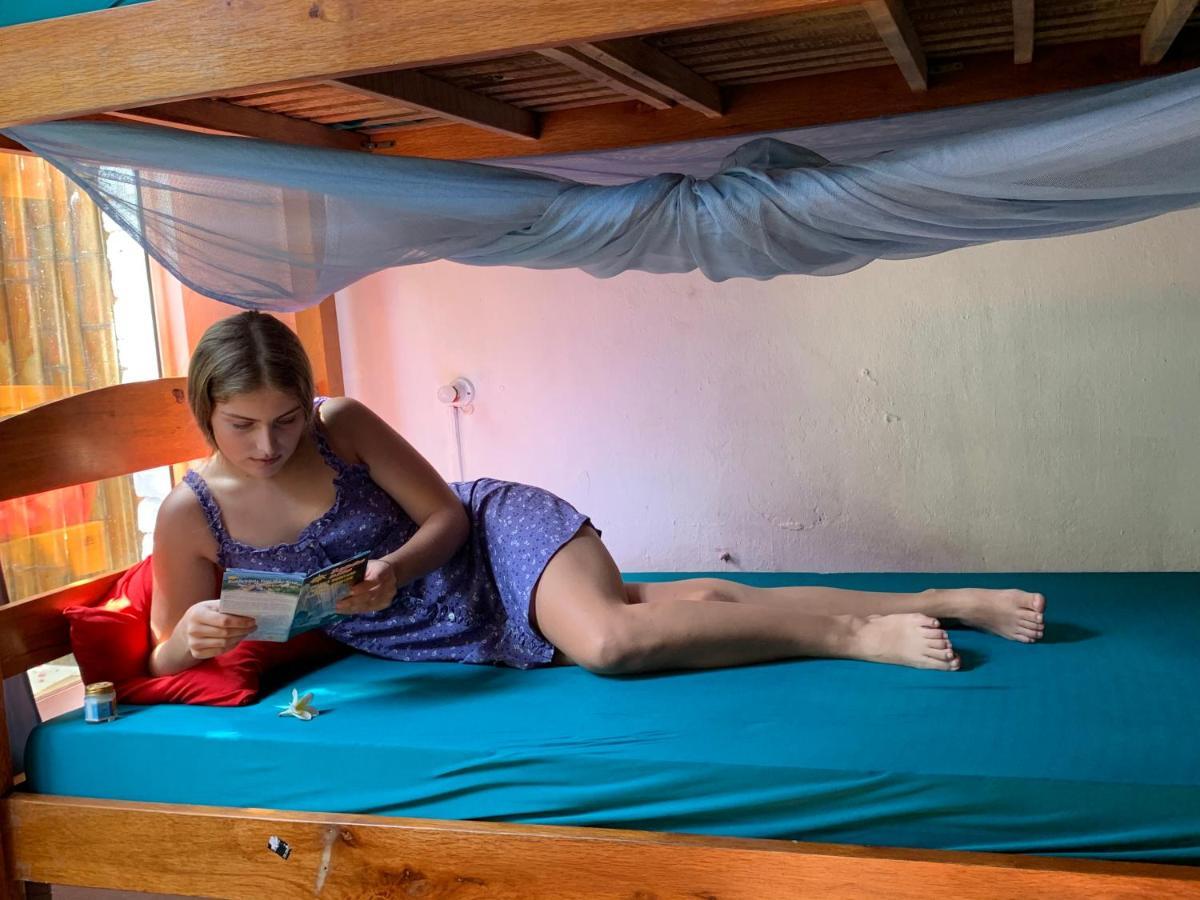 Serendipity Hoi An Hostel エクステリア 写真