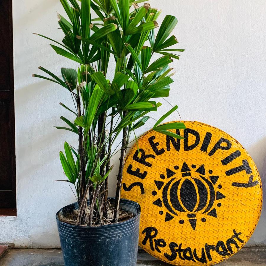 Serendipity Hoi An Hostel エクステリア 写真